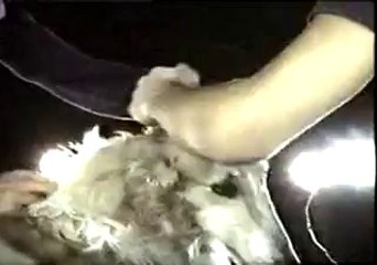 Pink Floyd - Mademoiselle Nobs