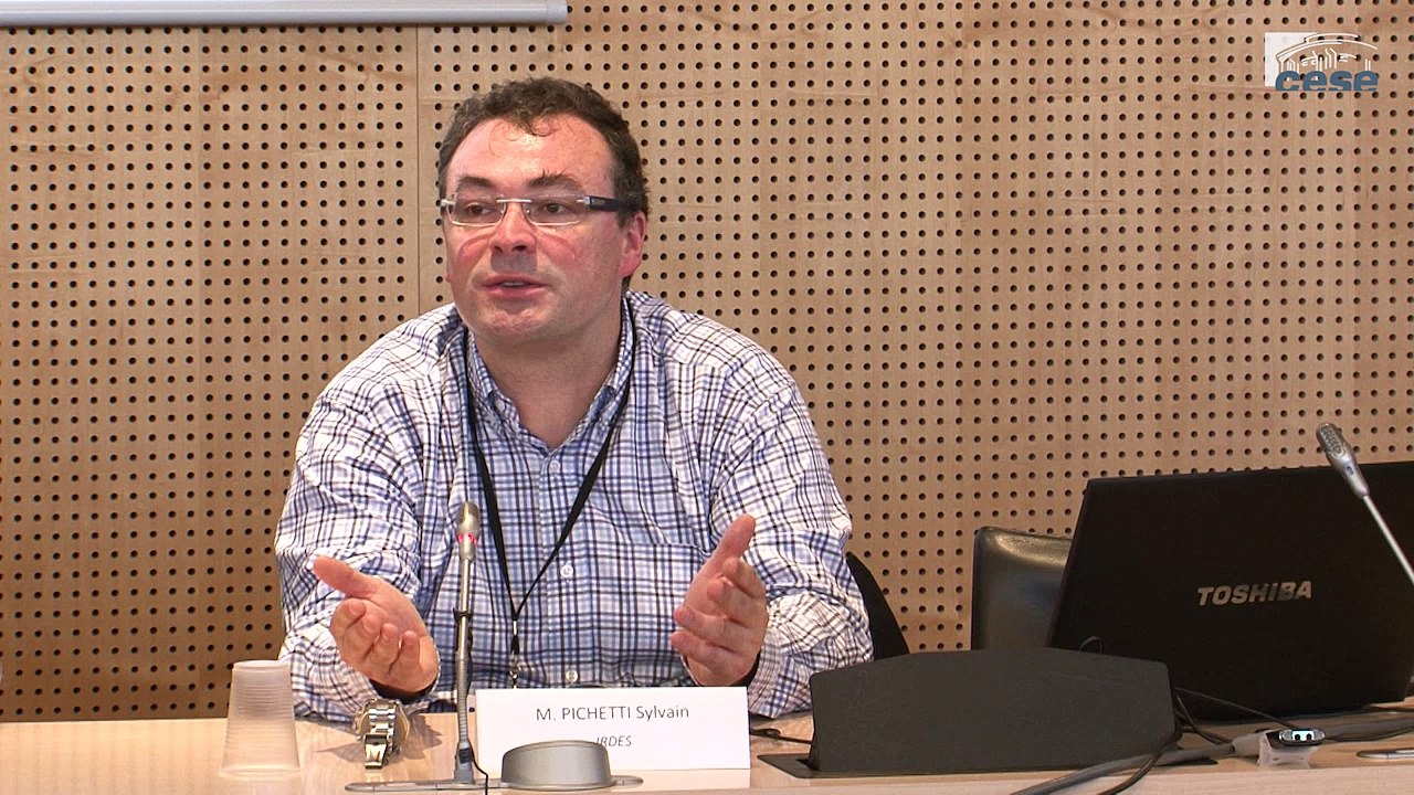 Audition de Sylvain PICHETTI, économiste - Prix et traitements médicaux - cese