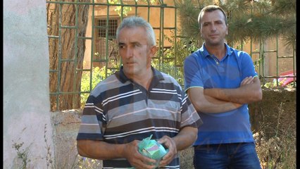 Lopa e semure ne Kukes, fermeri ia dergon ministrit Panariti