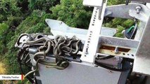 Field Engineer Spots Group Of Snakes Wrapped Around Wires On 125-Foot Tower