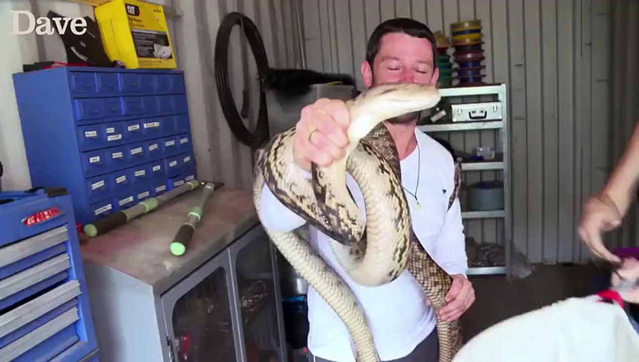 Etranglé par un python en voulant l'attraper