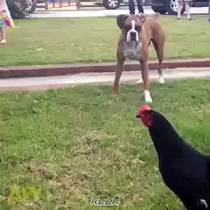 اثاريك ي ديك منت بسيط هههه
