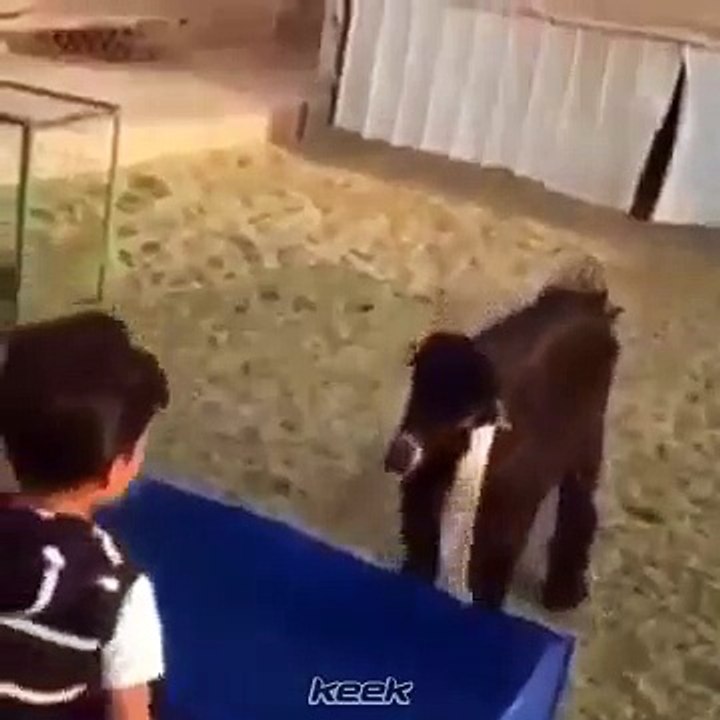 اخذ عقل الولد التيس هههه