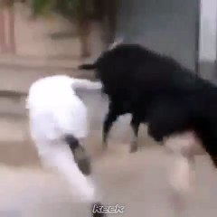 البكستاني راح فيها هههه