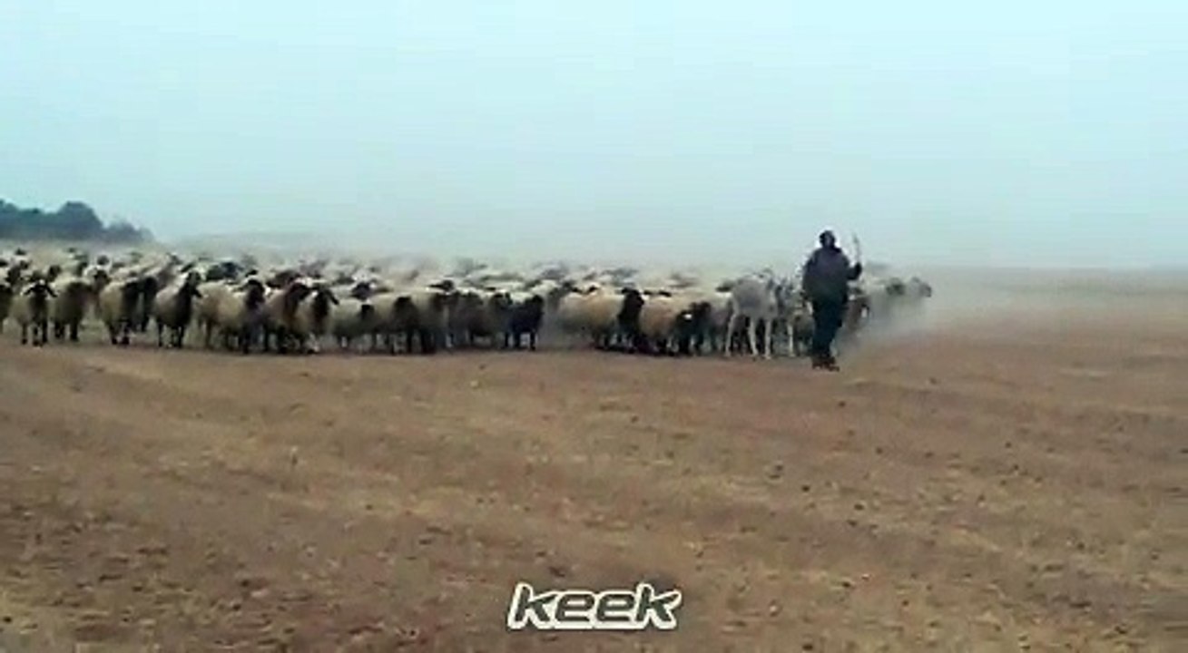 العسكريه وما تفعل هههه