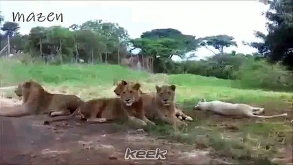 الله يرحمها كانت تحب التصوير هههه