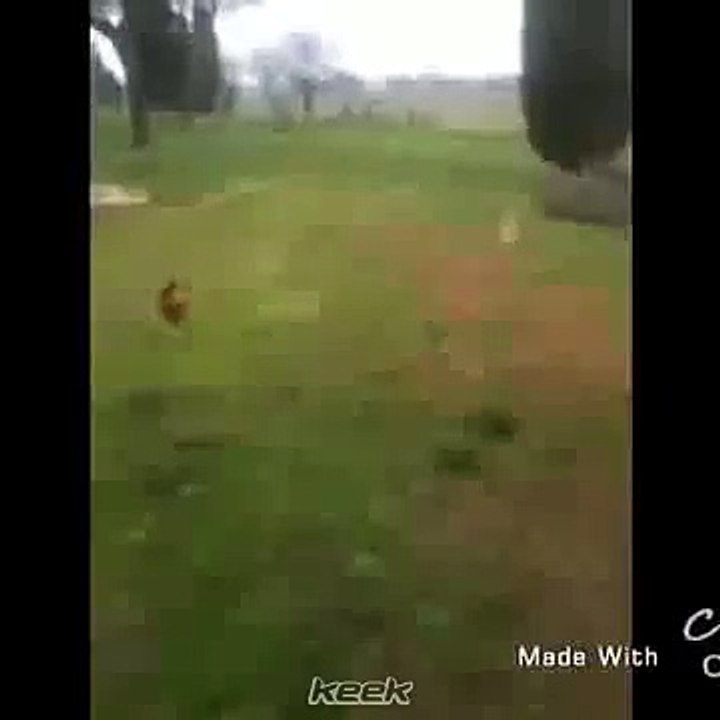 انجرد البس هههه