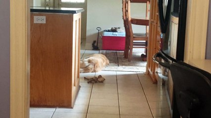 Can You Hear Me Now?