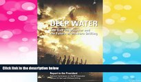 READ FREE FULL  Deep Water: The Gulf Oil Disaster and the Future of Offshore Drilling: Report to