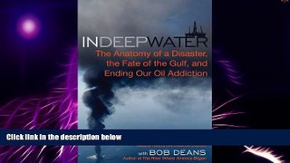 Must Have PDF  In Deep Water: The Anatomy of a Disaster, the Fate of the Gulf, and Ending Our Oil