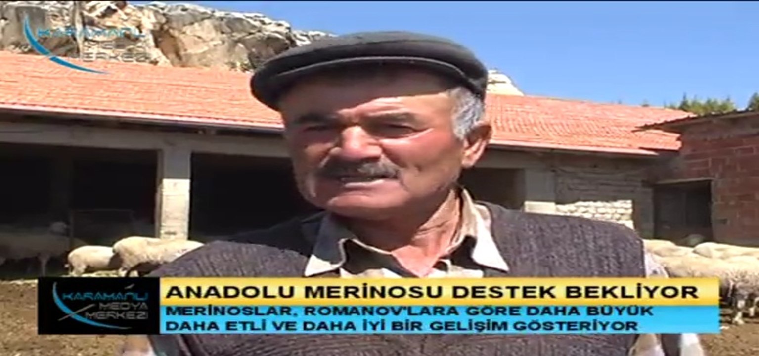 Iyi  gunler  videonuzu  izledim  ve cok begendim  gercektende  bu koyunun  irkini cok  begendim  bu ciflige nasil  ulasa  bilirim