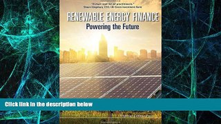 Big Deals  Renewable Energy Finance: Powering the Future  Best Seller Books Most Wanted