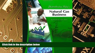 Big Deals  Understanding Today s Natural Gas Business  Free Full Read Best Seller