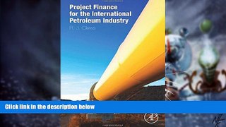 Big Deals  Project Finance for the International Petroleum Industry  Free Full Read Most Wanted