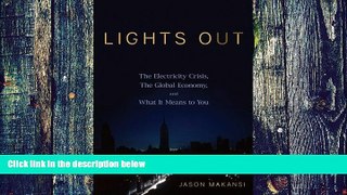 Big Deals  Lights Out: The Electricity Crisis, the Global Economy, and What It Means To You  Best