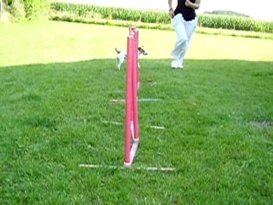 Slalom maison à ma gauche 1er aout 07