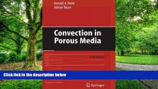 Big Deals  Convection in Porous Media  Free Full Read Most Wanted