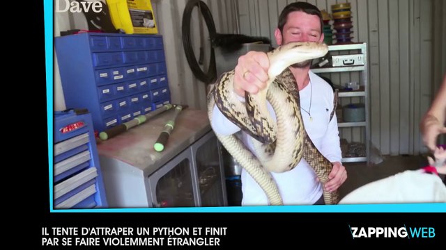 Il tente d'attraper un python et finit par se faire violemment étrangler (vidéo)