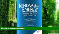 Big Deals  Renewable Energy: Sources For Fuels And Electricity  Best Seller Books Best Seller