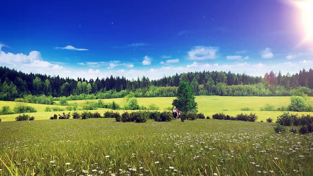 Découvrez l'écran publicitaire "contextualisé" que M6 diffusera  ce soir - Regardez