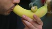 Banana Pipe