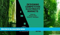Big Deals  Designing Competitive Electricity Markets (International Series in Operations