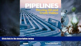 Big Deals  Pipelines: Flowing Oil and Crude Politics  Free Full Read Most Wanted