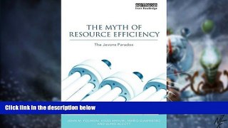 Big Deals  The Myth of Resource Efficiency: The Jevons Paradox (Earthscan Research Editions)  Best