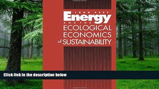 Big Deals  Energy and the Ecological Economics of Sustainability  Best Seller Books Best Seller