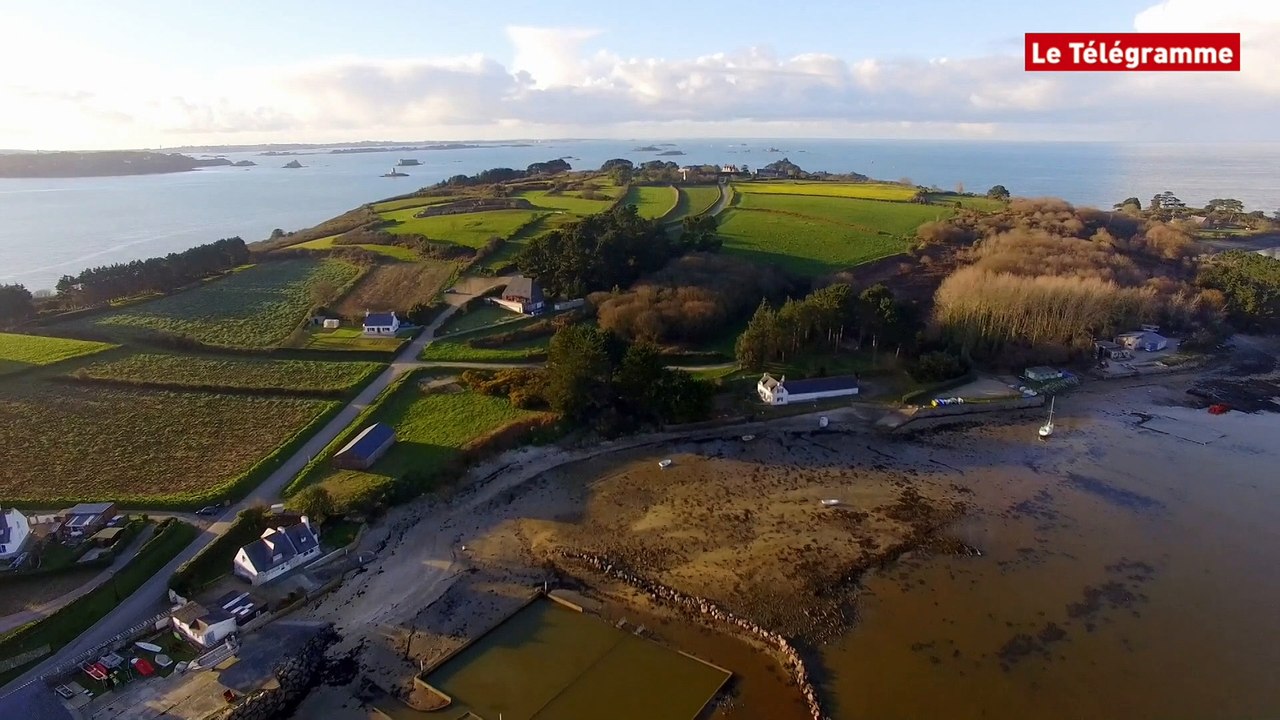 Ciel la Bretagne ! La compil' de l'été...