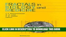 New Book Fractals in Biology   Medicine
