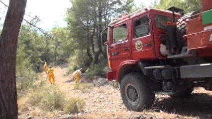 Osmaniye'de 10 Hektar Kızılçam Ormanı Yandı
