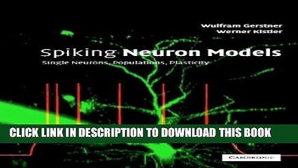 Collection Book Spiking Neuron Models: Single Neurons, Populations, Plasticity