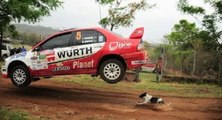 Un chien évite la mort de justesse lors d'un rallye