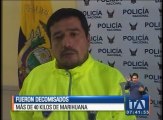 Fueron decomisados más de 40 kilos de marihuana