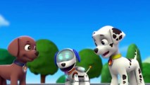 Animation Movies For Kids ♧ Pups Save a Super Pup ♧ Pups Save Ryders Robot-MJowiNCvRKU 30