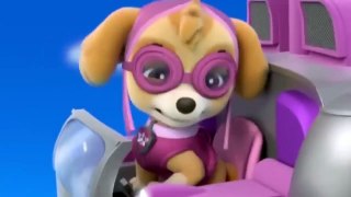Animation Movies For Kids ♧ Pups Save a Super Pup ♧ Pups Save Ryders Robot-MJowiNCvRKU 47