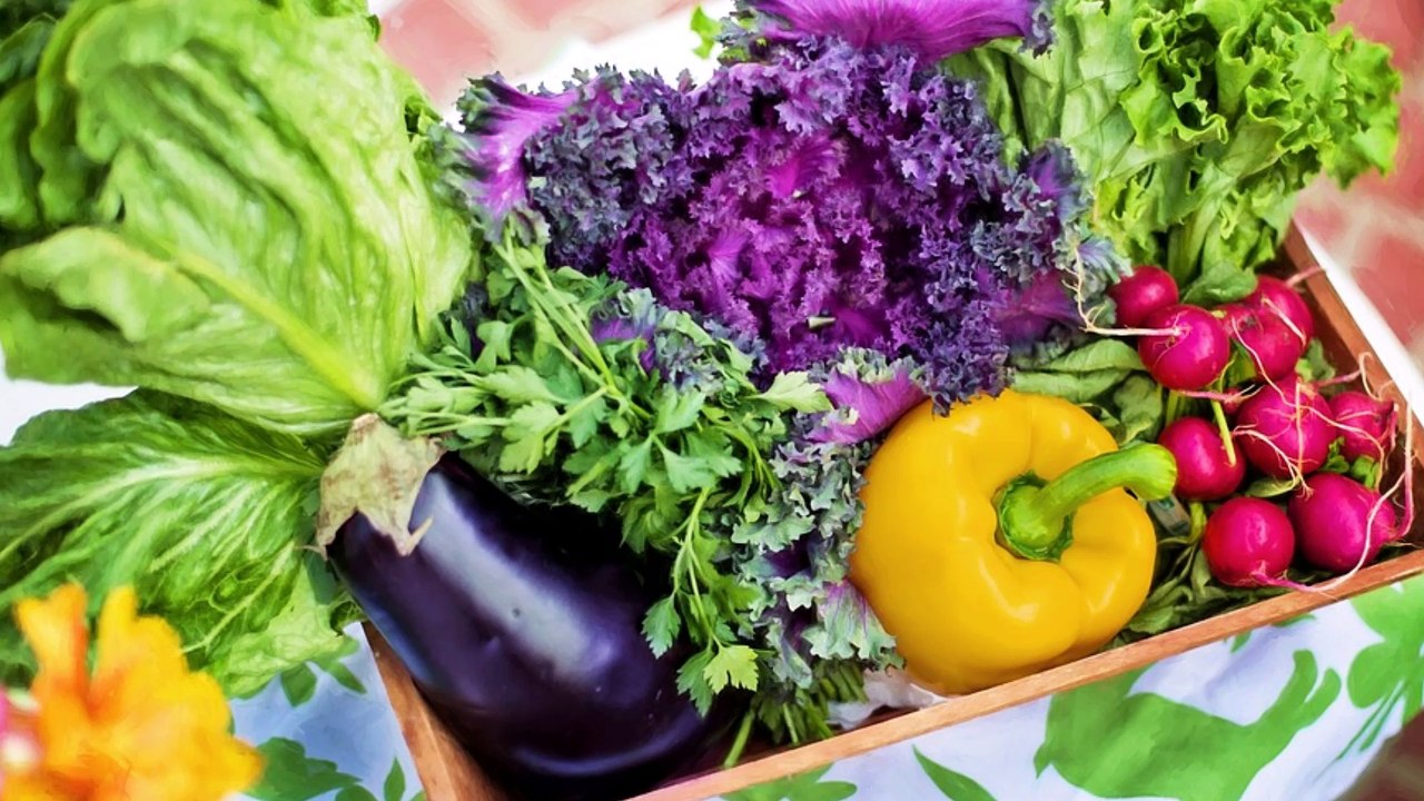 Hydroponik Aguaponik Aeroponik Systeme zum selber Bauen