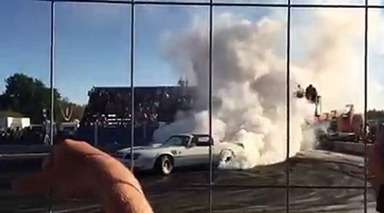 TRANS AM LOVERS
