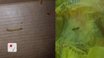 McDonald's Franchisee Responds to Claims of Worms in Food