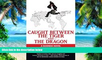 Big Deals  Caught Between the Tiger and the Dragon: A Business Novel (Business Novels (Tompkins