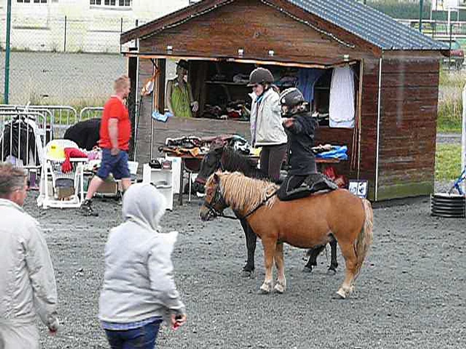 démonstration des poneys