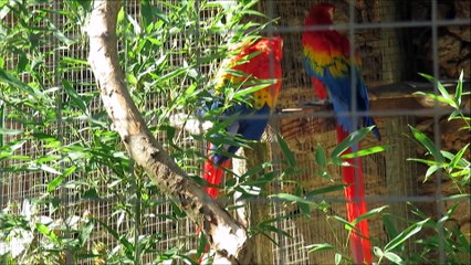 Parc du Reynou à LIMOGES