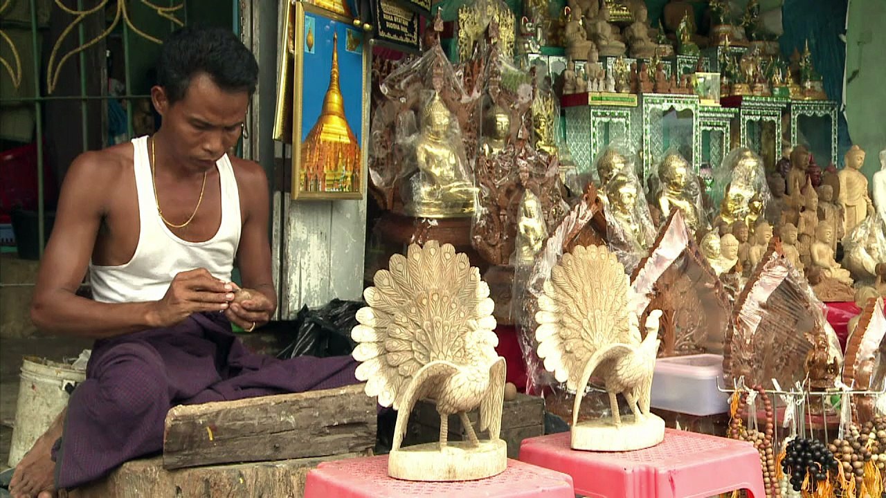 Pfau in Gefahr: Myanmars Nationalsymbol droht auszusterben