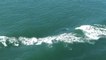 Amazing Video Shows Orcas 'Surfing' a Ship's Bow Wave