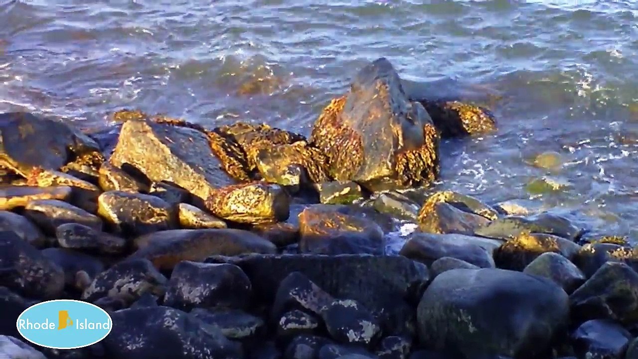 Rocky Shore