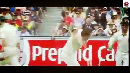 Dale Styn Best Wickets Distruction compilations-Full HD
