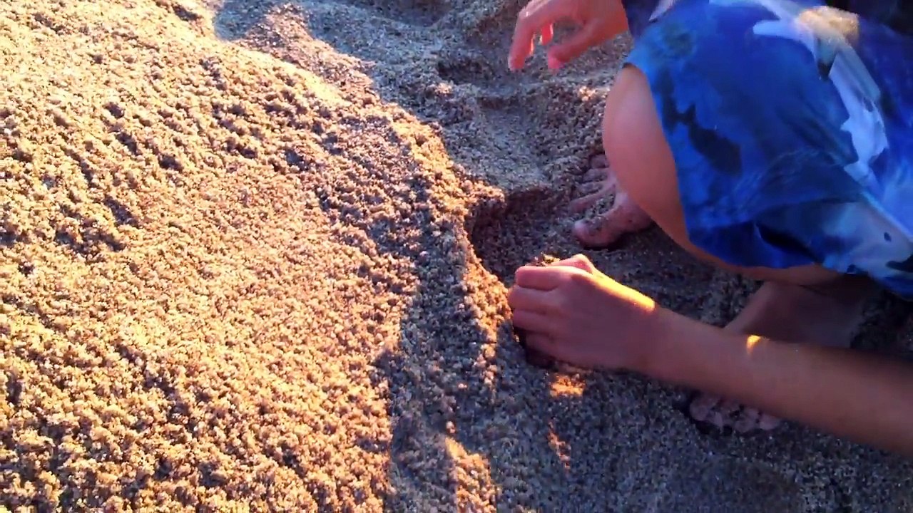 FLASHBACK  - UN ÉNORME 'CHÂTEAU' DE SABLE !
