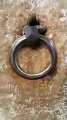 مسجد اقصٰی میں وہ جگہ جہاں نبی کریم ﷺ نے تمام انبیأ ؑ کی امامت کروانے سے پہلے اپنے براق کو باندھا تھا