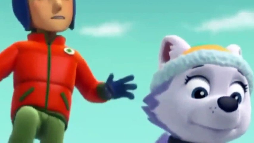 paw patrol cartoon urdu mein